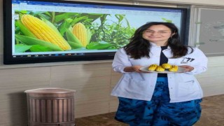 Haşlanmış ve közlenmiş mısırın ‘Mutluluk hormonu salgıladığı belirtildi