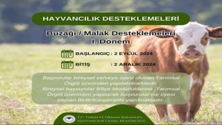 Hayvancılık Desteklemeleri Başvuru Tarihleri Açıklandı
