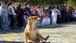 Hisarcıkta İlköğretim Haftası kutlamalarında sevimli köpek ilgi odağı oldu
