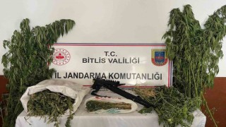 Hizanda esrar ve kenevir ele geçirildi