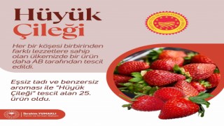 Hüyük çileği ABden tescil aldı