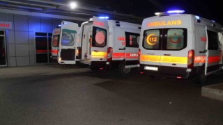 Hüyükte ağaçtan düşen kişi yaralandı