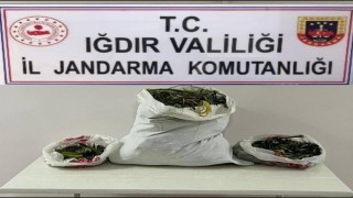 Iğdırda farklı adreslere uyuşturucu operasyonu