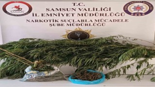 İkametinden bin 248 gram esrar çıktı, tutuklandı
