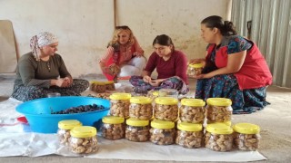 İncirköy Mahallesinde hasat dönemi sona erdi