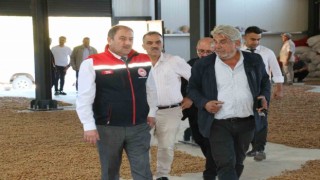 İşadamı Kemaliyede 5 bin badem ağacı dikti