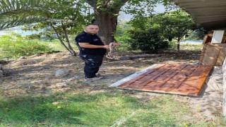 İskenderunda eve giren yılanı itfaiye ekipleri yakaladı