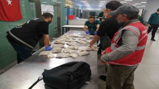 İstanbul Havalimanında 20 bin adet canlı tıbbi sülük ele geçirildi