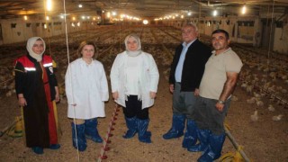 İyi tarım uygulamaları yerinde incelendi