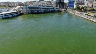 İzmir Körfezinde bilindik manzara: Yine binlerce ölü balık görüldü