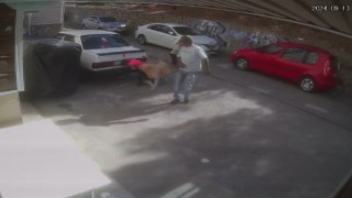İzmirde sevdiği köpeğin saldırısına uğrayan çocuk yaralandı