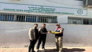 Jandarmadan doğan yavrusuna şefkat eli