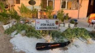 Jandarmadan uyuşturucu baskını: 1 tutuklama