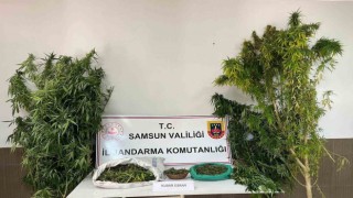 Jandarmadan uyuşturucu operasyonu