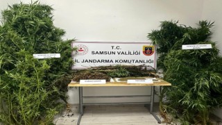 Jandarmadan uyuşturucu operasyonu: 2 gözaltı