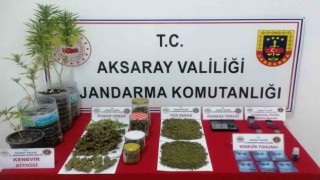 Jandarmanın suçüstü yaptığı uyuşturucu taciri tutuklandı