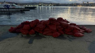 Kadıköyde tonlarca kaçak midye ele geçirildi