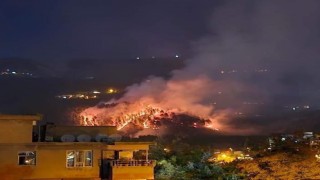 Kahramanmaraşta orman yangını