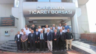 ‘Kahverengi kokarca, üretici ve tüccarı mağdur etti