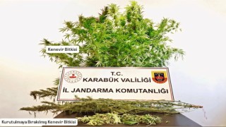 Karabükte evde kenevir ve esrar bulundu