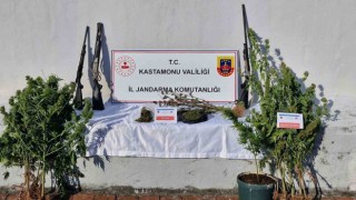 Kastamonuda jandarma ekiplerinden uyuşturucu operasyonu: 6 gözaltı
