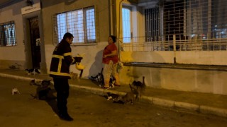 Kedi üzerinde koli bandıyla kaçtı, itfaiye yardım için kovaladı