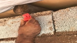 Kendi elleriyle kertenkeleyi besleyen çiftçi takdir topladı
