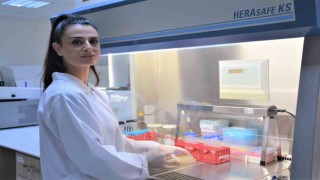 Keşfedilen bakteriyofajlar, Yakın Doğu Üniversitesinin (NEU) adıyla tescil edildi