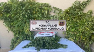 Konyada jandarmadan uyuşturucu operasyonu: 2 gözaltı