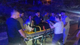 Köpeğe çarpmamak için manevra yapan otomobil takla attı: 1 yaralı