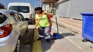 Körfezde temizlik hareketi başlatıldı