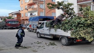 Körfezde yeşil alanlara bakım