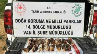 Kota aşımı yapan 3 avcıya 57 bin 373 lira cezai işlem uygulanacak