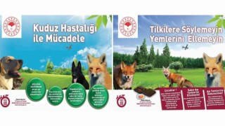 Kuduza karşı yaban hayvanlarının aşılama çalışmaları devam ediyor