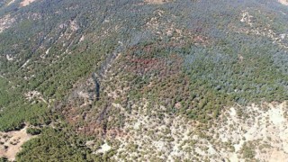 Kumlucadaki yangında 15 hektar ormanlık alan zarar gördü