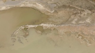 ‘Kuş Cenneti Arin Gölü hayvanların otlak alana dönüştü