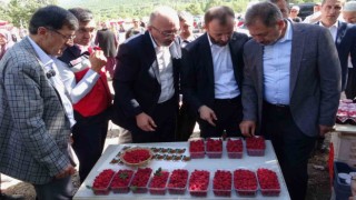Kütahyada Ahududu Şenliği renkli görüntüler oluşturdu