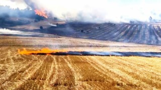 Kütahyada ormana sıçrayan anız yangını büyümeden söndürüldü
