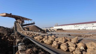 Malatya Şeker Fabrikasında hedef 55 bin ton şeker üretimi