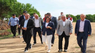 Maltepe Belediyesi, can dostlar için bakım evi kuruyor