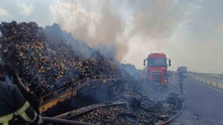 Mardinde armut yüklü tır alevlere teslim oldu
