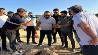 Mardinde vahşi cinayetin failleri aracın yansımasından bulundu