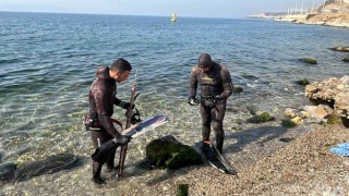 Marmarada 2 dalgıç, 320 kilogram orkinos avladı