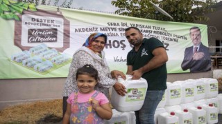 Mersinde üreticilere Akdeniz meyve sineği ile mücadele desteği