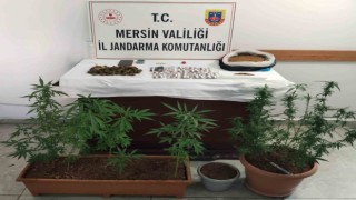 Mersinde uyuşturucu taciri 3 şüpheli yakalandı