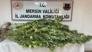 Mersinde uyuşturucu tacirlerine operasyon: 4 gözaltı