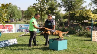 Minik öğrenciler eğitimli köpeklerin gösterisine hayran kaldı