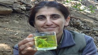 MİTten Irak Süleymaniyede nokta operasyonu: PKKnın sözde İran Sorumlusu Saliha Akbıyık, etkisiz hale getirildi