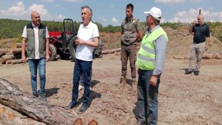 Müdür Erdal Dingil: Orman yangınlarına karşı daha duyarlı olmalıyız