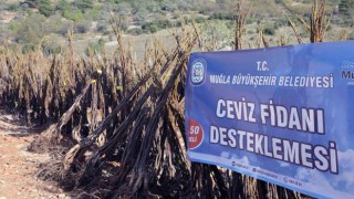 Muğla Büyükşehirden ‘Her Kapıda Bir Fidan projesi